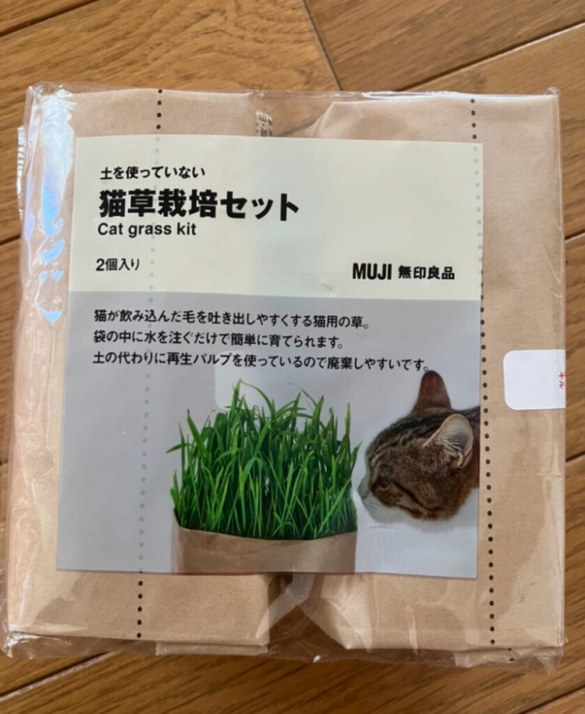 猫草栽培セット