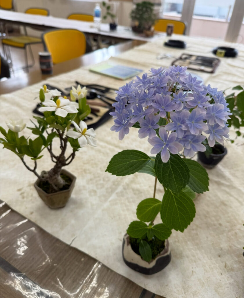 盆栽の花