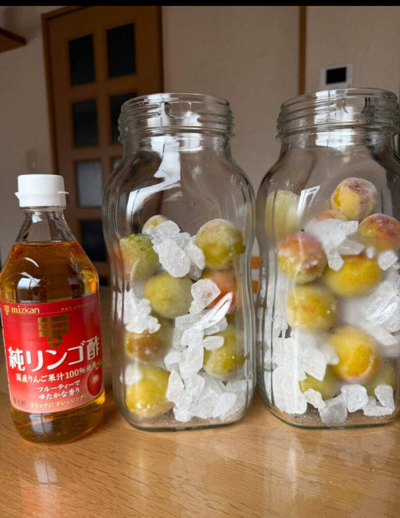 梅の瓶とリンゴ酢