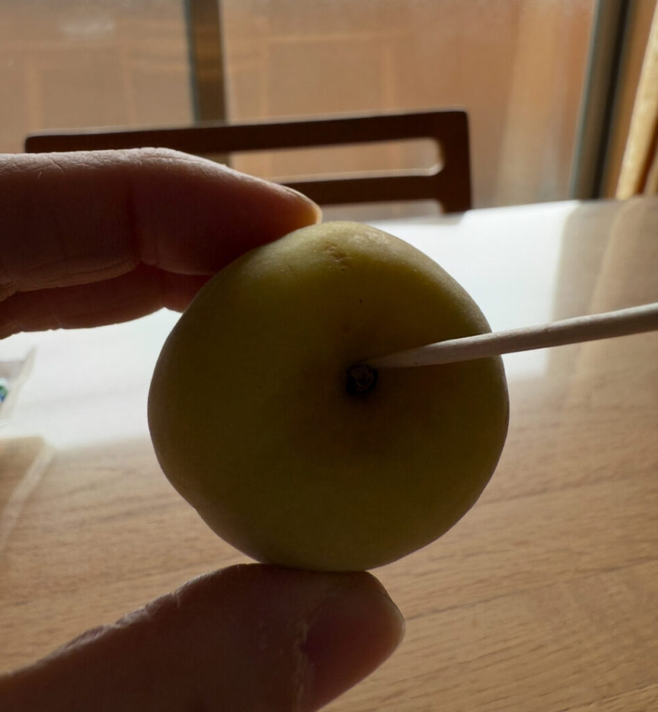 梅のへた