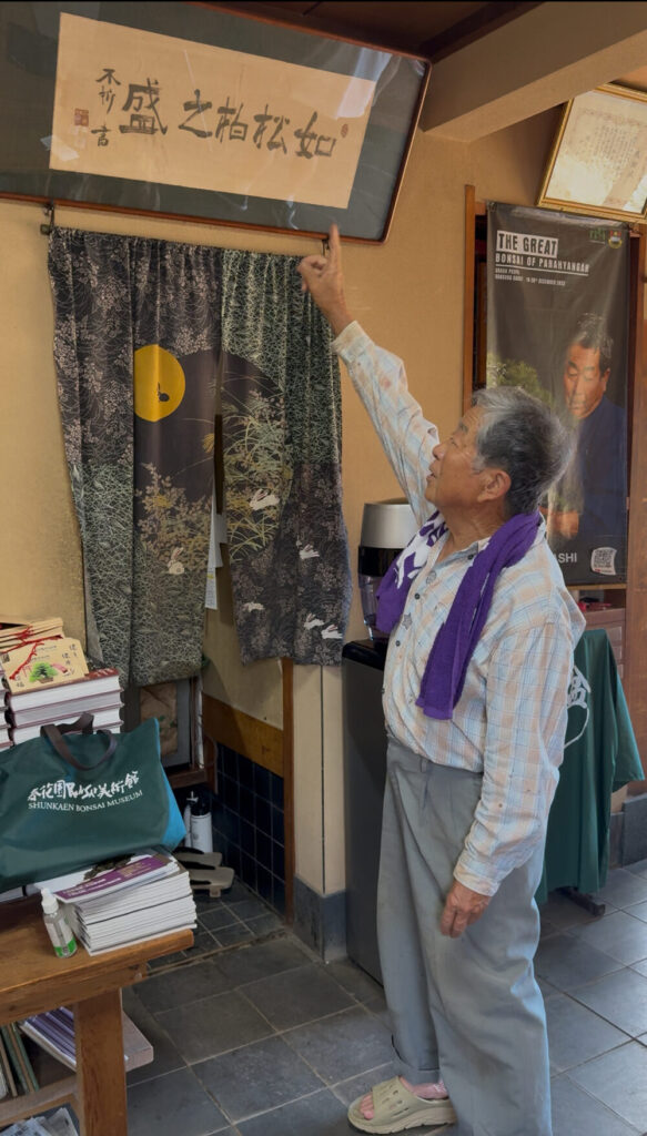 松柏のごとく栄える
