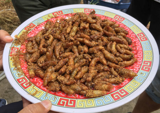 セミのから揚げ