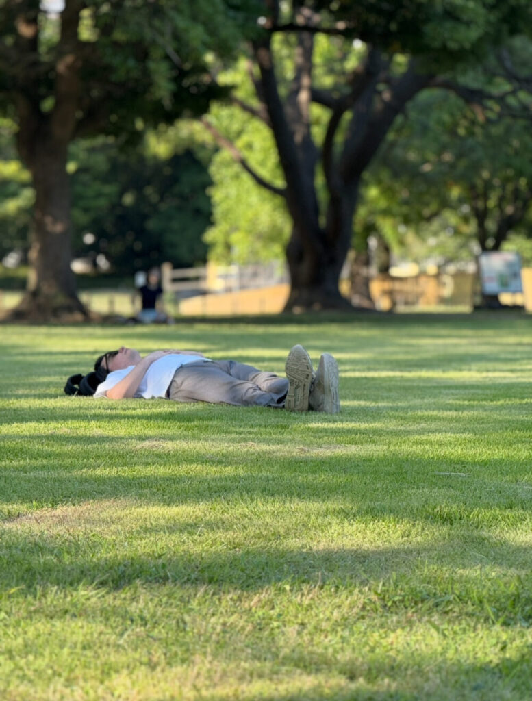 芝生で昼寝