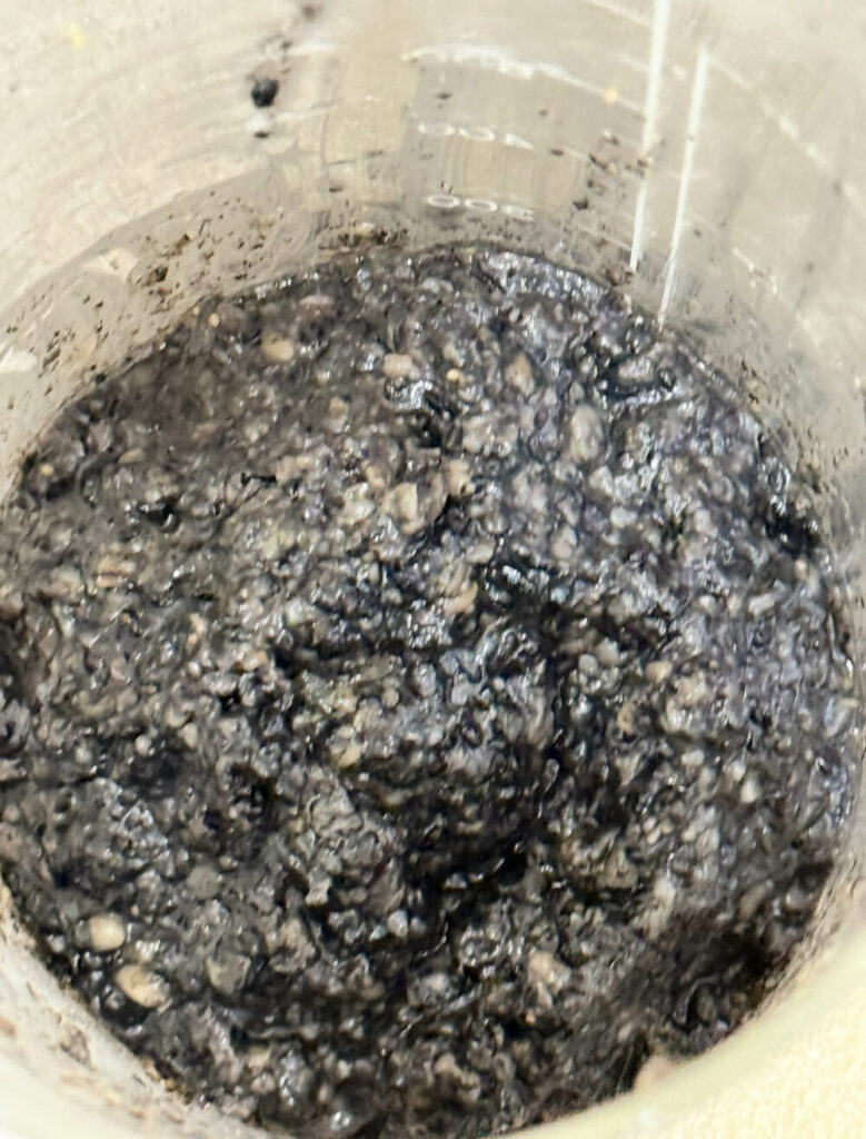 8時間後の黒ごま麹