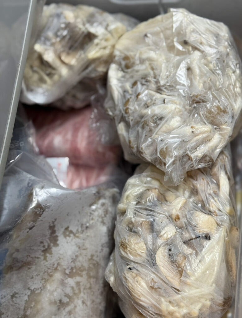 ストック冷凍キノコ