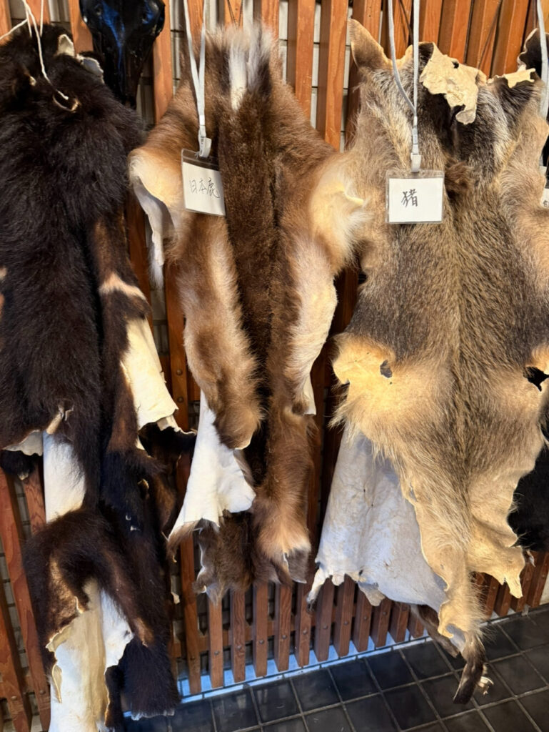 猪の毛皮