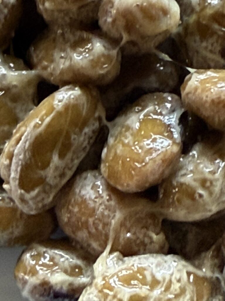 大粒の納豆