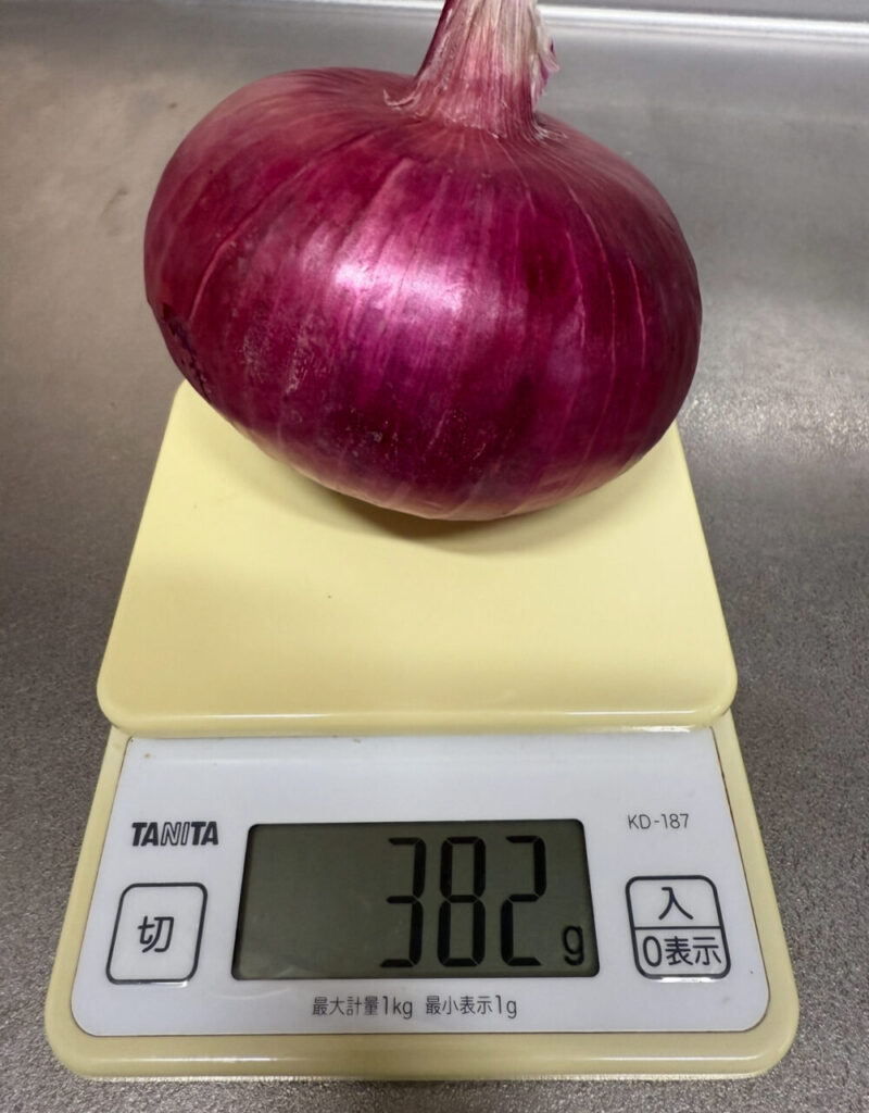 紫玉ねぎ