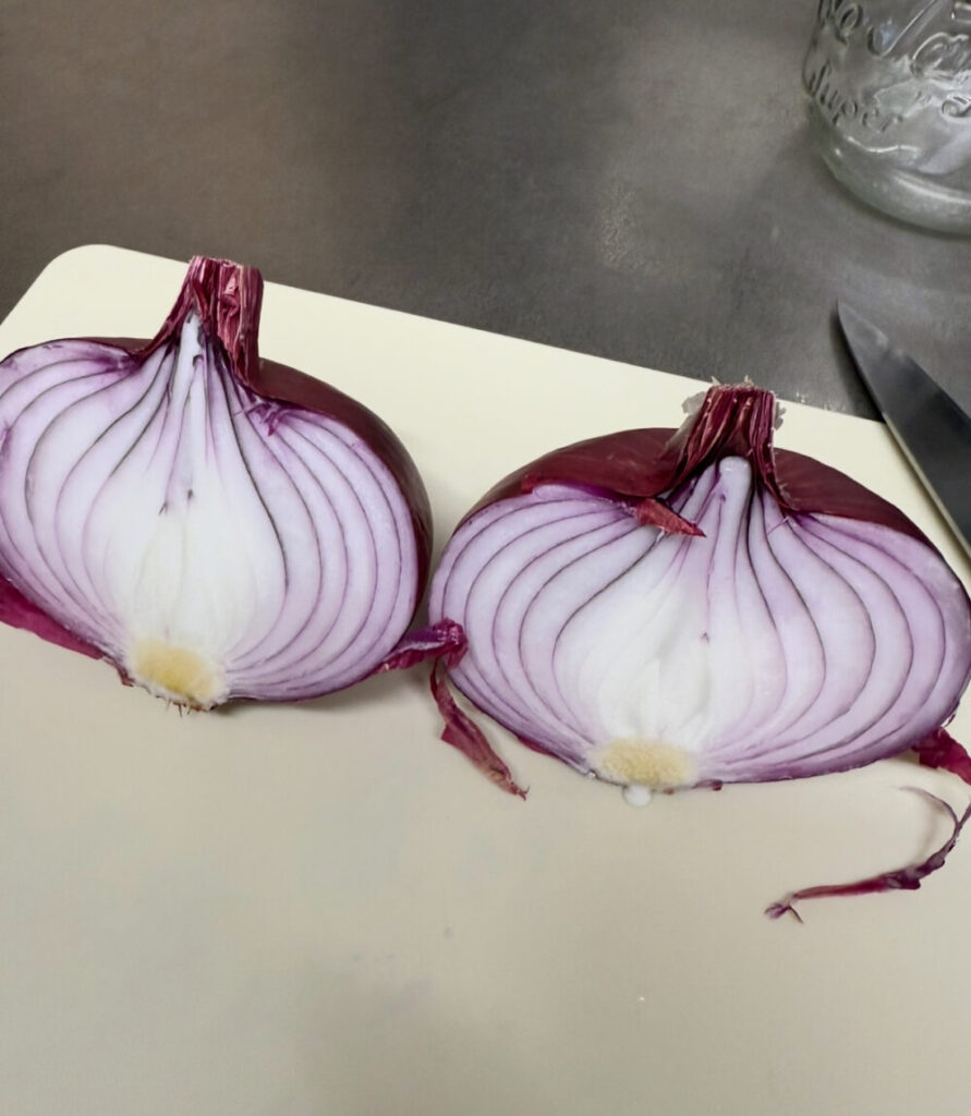 赤玉ねぎ断面