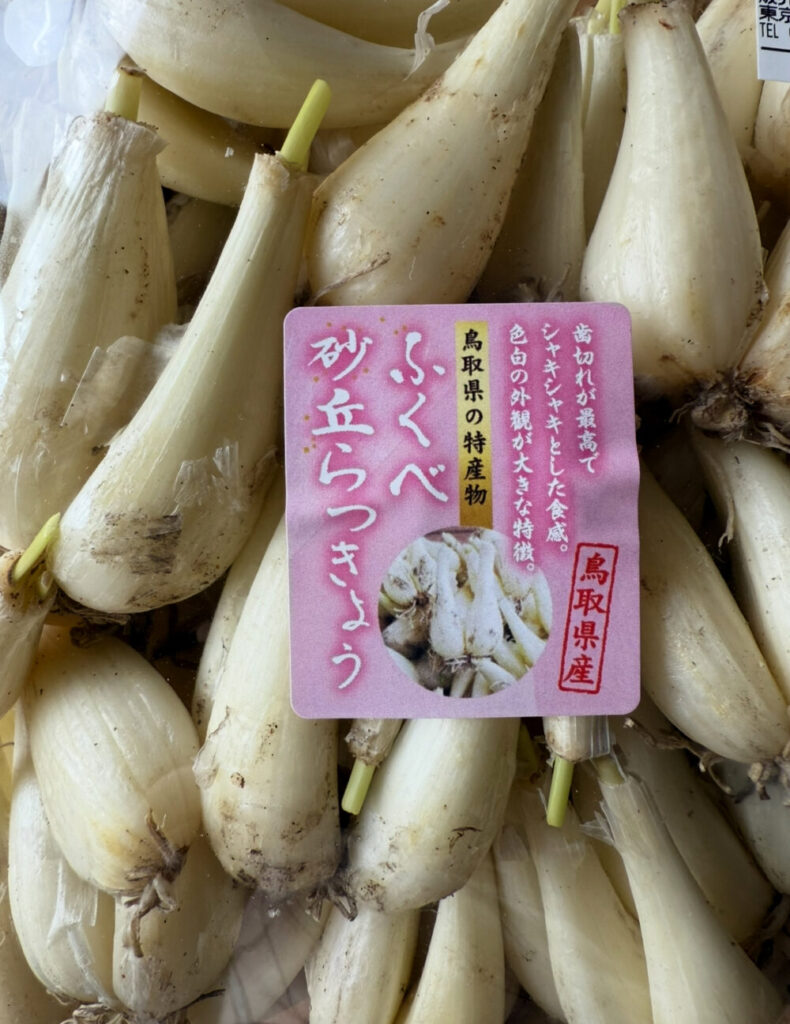 鳥取らっきょう