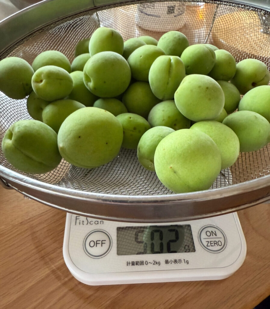 梅500ｇ