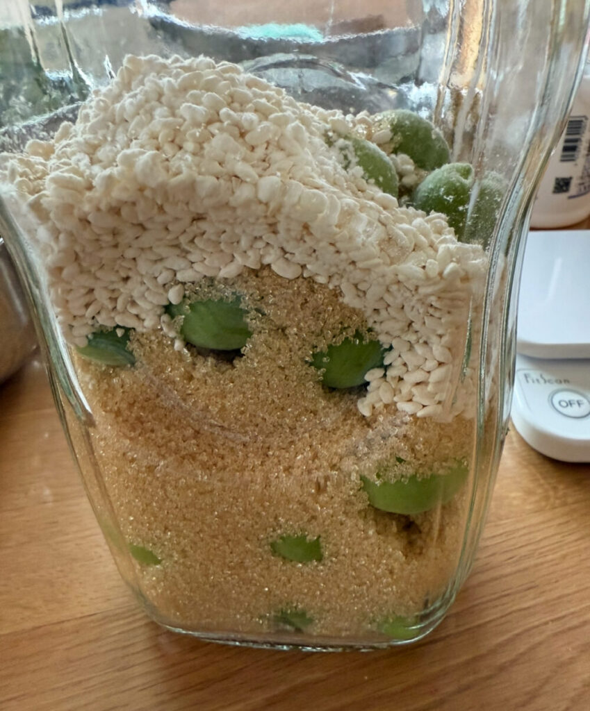 麹と砂糖