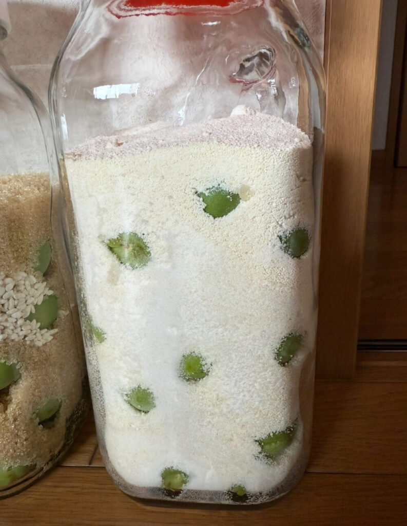 ビート糖梅シロップ