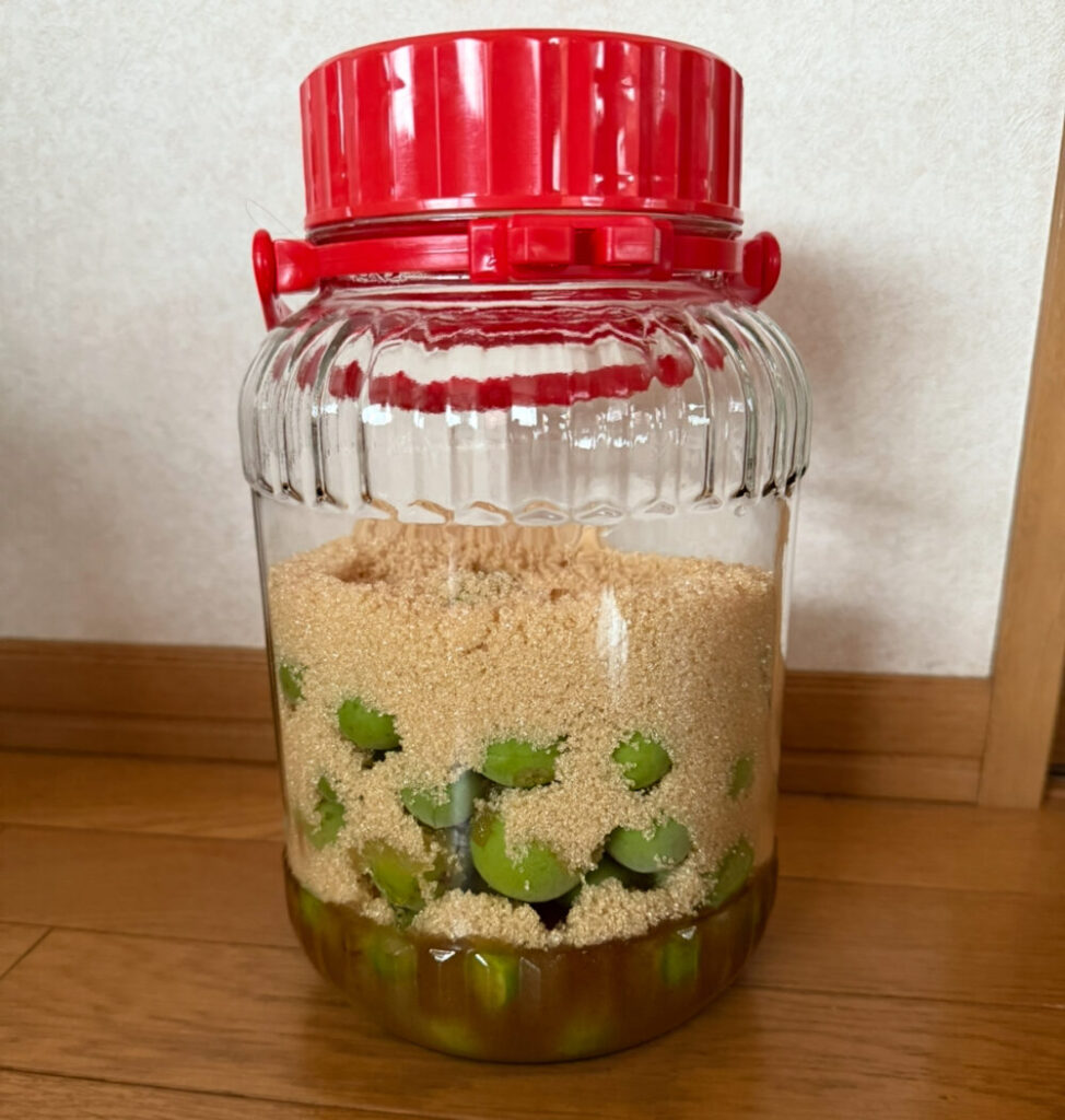 王道の梅シロップ