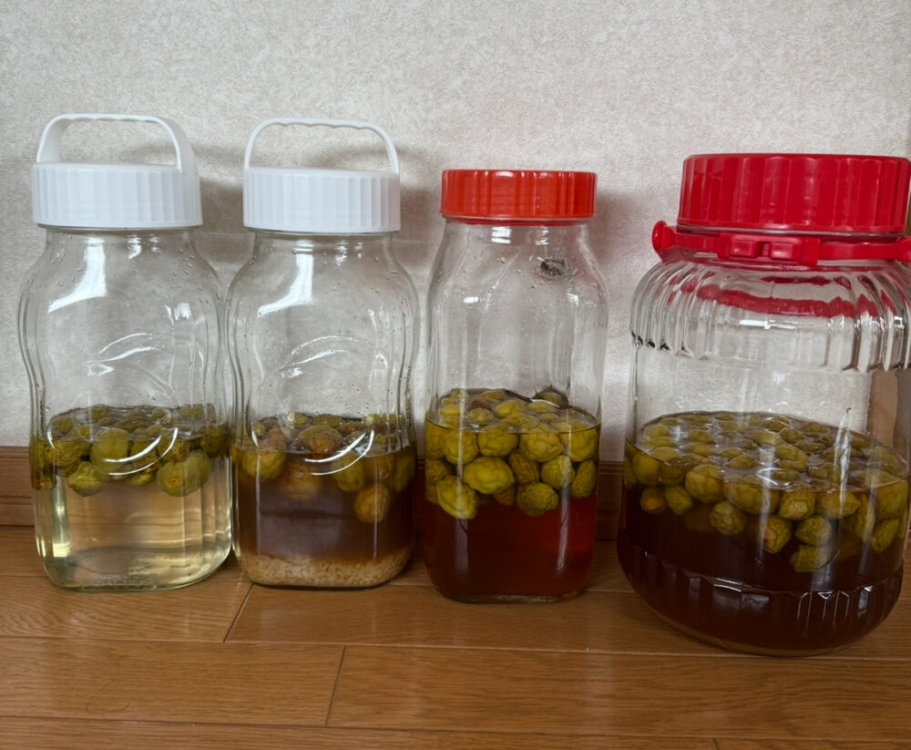 Before 4 servings of plum syrup