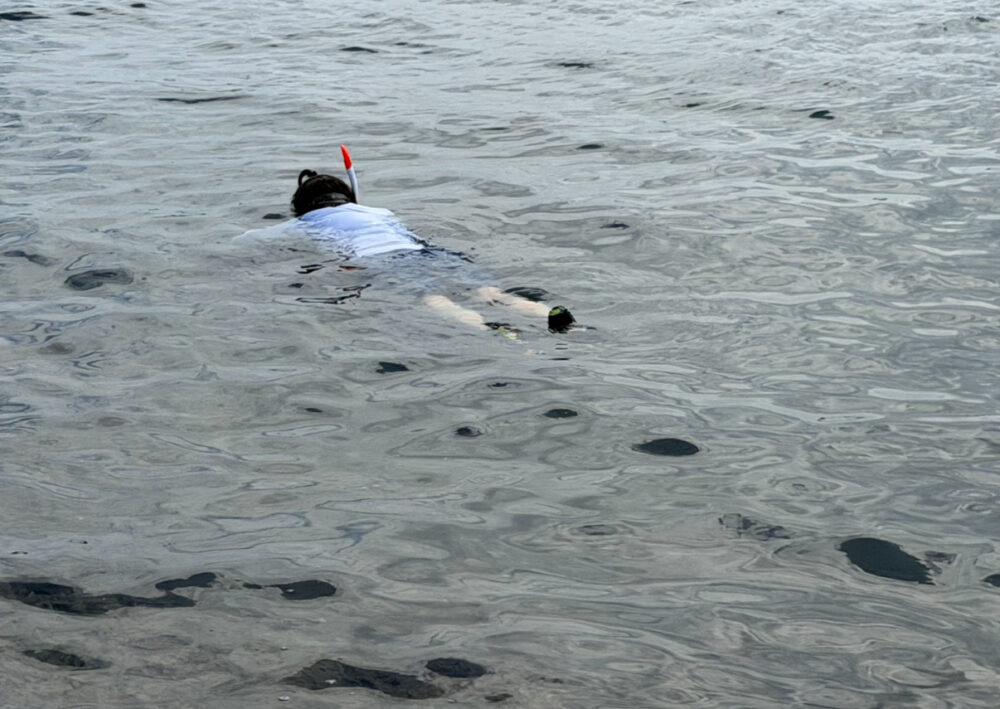 海に浮かぶ